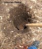 Digging a hole.JPG