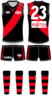 Essendon Home.png