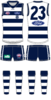 Geelong Home.png