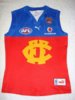 2007 Brisbane Lions Player Issue #4 Rd 19 vs Hawthorn.jpg