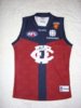 2012 Brisbane Lions Hall of Fame Player Issue #40 Rd 13 vs Western Bulldogs).jpg