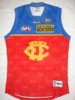 2015 Brisbane Lions 40th Anniversary Player Issue #39 Rd 16 vs Melbourne.JPG