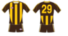 Hawthorn Shirt.png