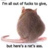 rats arse.jpg