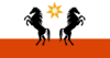 vryheed flag with freedom star vector horse upload.png