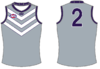 Freo preseason.png