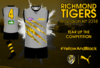 IBFI-Richmond-Wavy-Lines-Entry.png