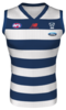 Geelong Cats - Home Jersey 2018..png