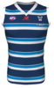 Geelong Cats - 2018 Away Jersey..png