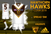 IBFI-Hawthorn-Flying-Hawk-Clash-entry.png