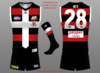 St Kilda Jumper Design base 8a 2.png