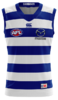 North Melbourne Heritage 2.png