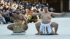 Sumo.jpg