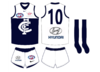 carlton jumper 2019.png