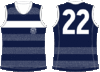 Geelong-Members-2013.gif