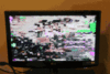 E2469421-1F45-407B-A86D-F82B5055DDB6.gif