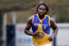 nic nat 2.jpg