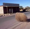 Tumbleweed.jpeg