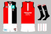 graphic_kit_afl_2021_stk_122_change.png