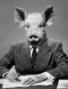 1950s-1960s-1970s-montage-of-pig-headed-vintage-images.jpg