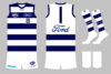 graphic_kit_afl_2021_geel_111_home.png