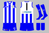 graphic_kit_afl_2021_nm_111_home.png