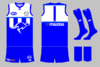 graphic_kit_afl_2021_nm_pre.png