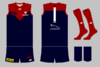 graphic_kit_afl_2021_mel_111_home.png