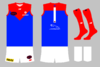 graphic_kit_afl_2021_mel_222_clash.png