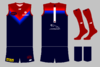 graphic_kit_afl_2021_mel_pre.png