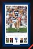 Gary-Ablett-Brownlow-Pano.jpg