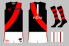 graphic_kit_afl_2021_ess_131_change.png