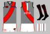 graphic_kit_afl_2021_ess_332_third.png