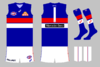 graphic_kit_afl_2021_wb_121_change.png