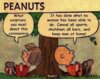 Peanuts.jpg