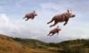 flying pigs.jpg