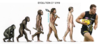 EvolutionofMan.png