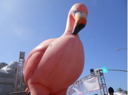 PinkFlamingo