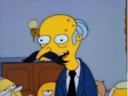 The Mr Snrub