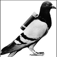 CarrierPigeon