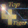 Top4_Tiger