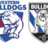 BulldogsSquared