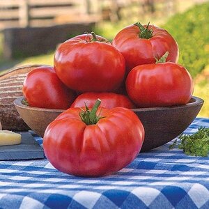 tomato-rouge-de-marmande-improved-seeds-by-happy-valley-seeds.jpg