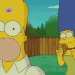 the-simpson-homer.gif