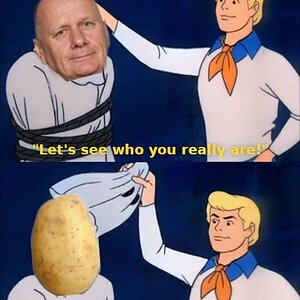 ken hinley - potato.jpeg