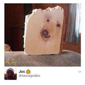 dog wood.jpg