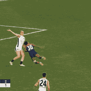 SF v Carlton (2).gif