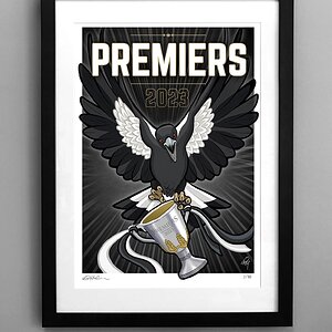 Magpies Poster LE Signed 2023_FRAMED copy.jpg