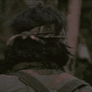 predator-billy.gif