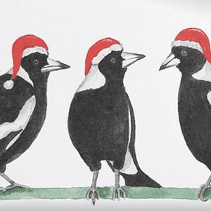 Christmas Magpies.png